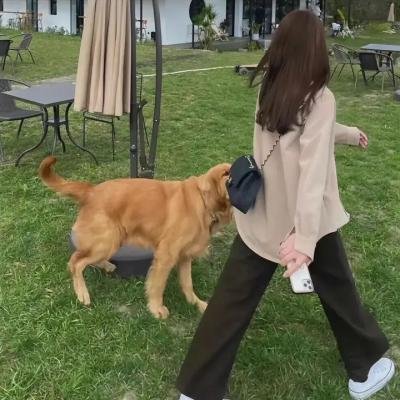 欧若拉之晨